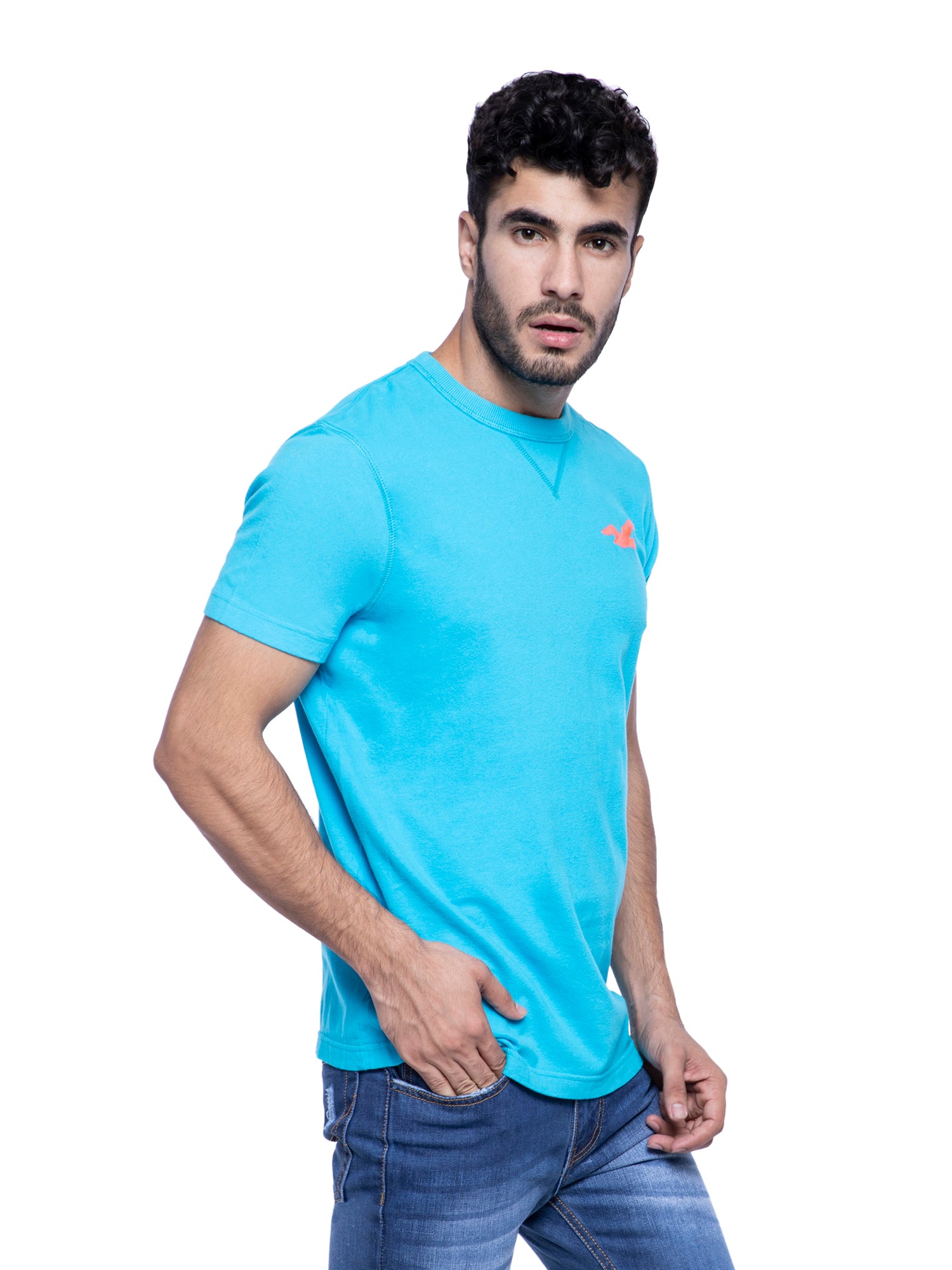 Hollister Men Blue Crew Neck T-Shirt